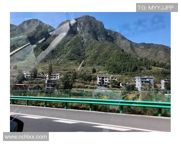 深度对话刘军排球人生的起伏与坚持探索之路