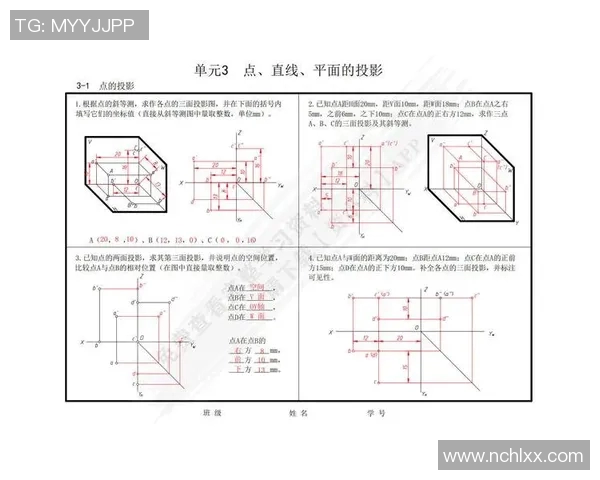北京排球队的战术控制体系解析与实践探讨 北京排球队的战术控制体系解析与实践探讨