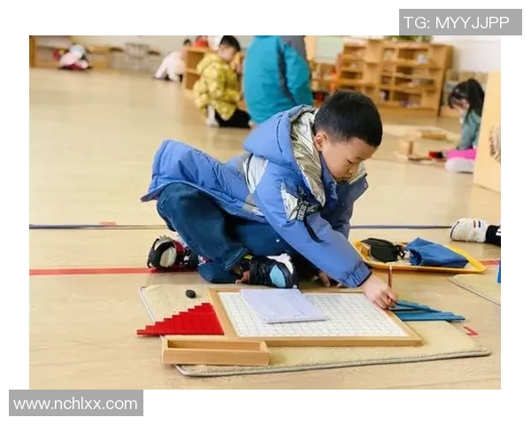 深度对话：探索陈芳在网球世界中的奋斗与成长之路