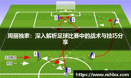 周丽独家：深入解析足球比赛中的战术与技巧分享